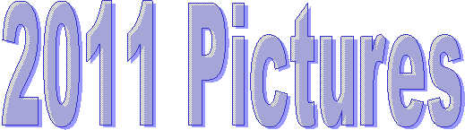 2011 Pictures